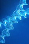 Paternity Test (Legal) ― On Demand Medical Testing